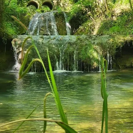 Βίλα La Ferme - Domaine Monbel Mirepoix (Ariege)