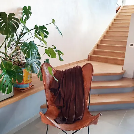 Βίλα La Ferme - Domaine Monbel Mirepoix (Ariege)