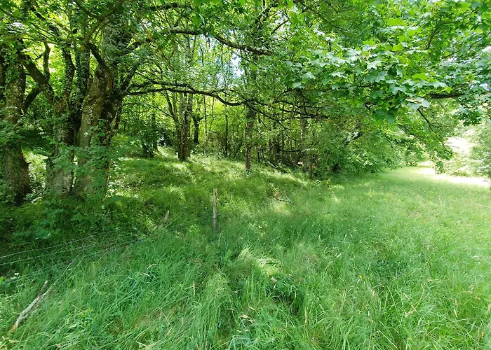 La Ferme - Domaine Monbel Mirepoix (Ariege)